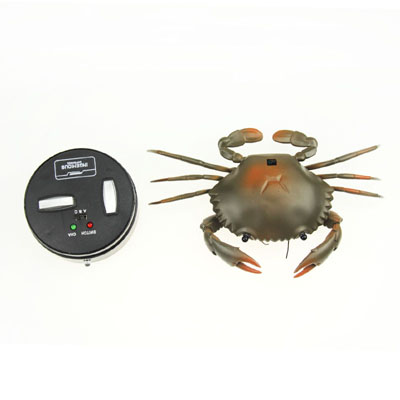 A new kind electric scorpion  for kids